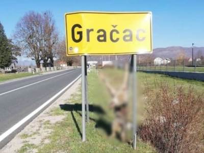  Uznemirujuće: Na ulazu u hrvatski gradić objesili tijelo brutalno ubijene životinje! (FOTO) 