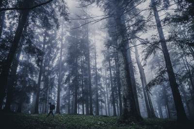  Kozara foto fotografije Kozare 
