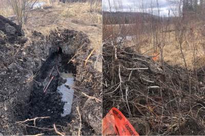  dabar pregrizao optičke kablove internet kanada 