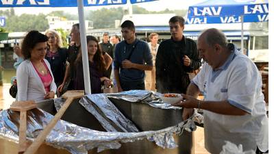  Bosanski lonac na obali Dunava (Foto) 