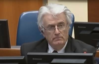  Radovan Karadžić, kompjuter 