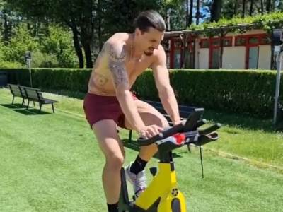  zlatan ibrahimović povreda oporavak euro 