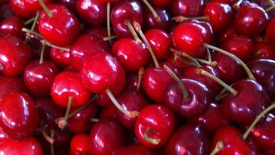  Banjalučanin povrijedio djecu jer su brali njegove trešnje 