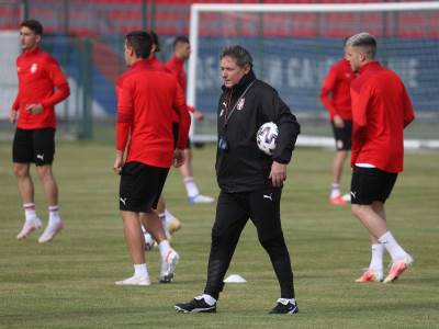  reprezentacija-srbije-prijateljske-utakmice-japan-jamajka-dragan-stojkovic-piksi 