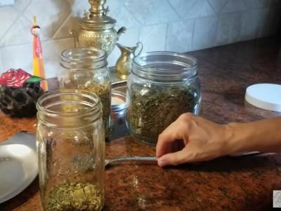  Kopriva uticaj na zdravlje 