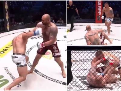  mma darko stošić mihal kita 