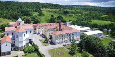  krađa slike zavod zotović 