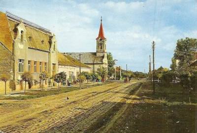  Kratka priča: Srđan sekulić - David, sin Isakov 