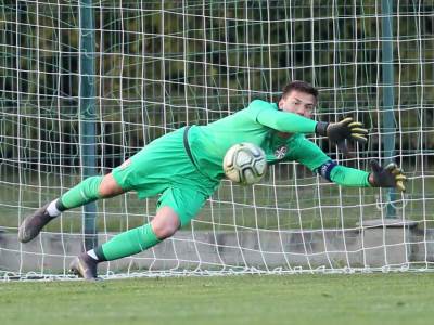  sin dejana stankovića najbolji golman u italiji 