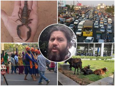  Zašto Indijke vole Srbe i kako je slučajno pojeo psa: Novosađanin otkriva sve bizarnosti Indije! 