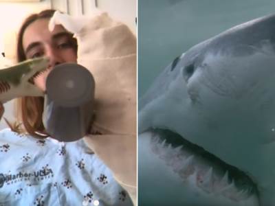  Novi napad ajkule! Do detalja opisao krvavi susret sa morskom nemani! (VIDEO) 