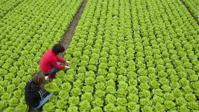  Hrvatska otvara vrata sezoncima iz BiH 