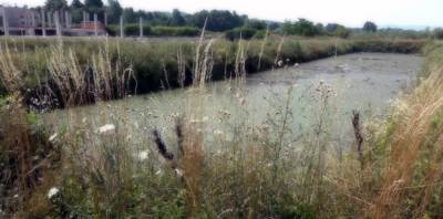  "Ribnjak" imovina Srpske 