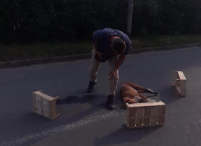  ubijen pas lazarevo budžak 