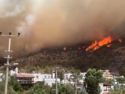  Gori šuma iznad hotela u Bodrumu 