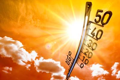  Ekstremne vrućine u Španiji i Portugaliji 