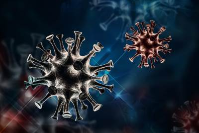  Korona virus u FBiH: Još 430 zaraženih, umrlo devet osoba 