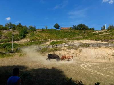  Grmečka korida 2021. 