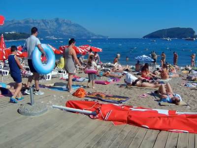  Meduze u Sjevernom Jadranu 