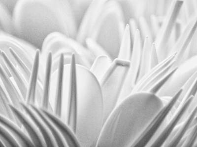  Slovenačka vlada odlučila: Zbogom nepotrebnoj plastici 
