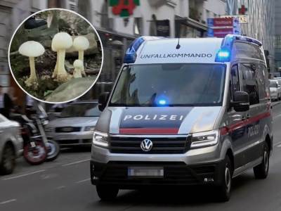  Hrvati uzeli "magične pečurke" pa podivljali, jedan završio zadavljen 