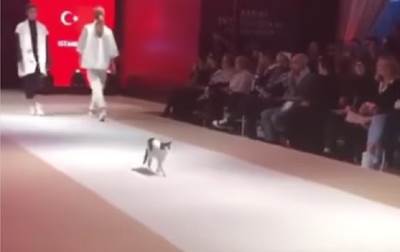  Objasnila „catwalk“: Maca prošetala modnom pistom 