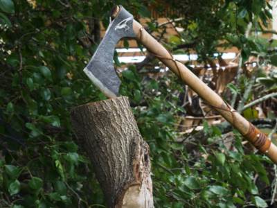  ubijena žena u stanarima 