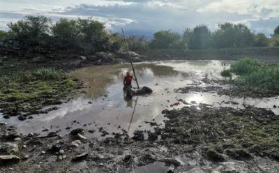  Konj bio zaglavljen dva dana u blatu kod Livna 