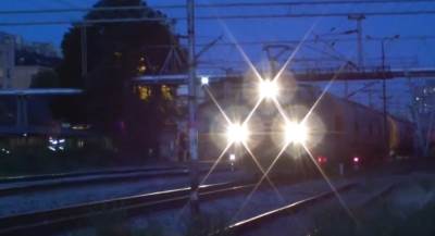  Voz udario krdo divljih svinja 