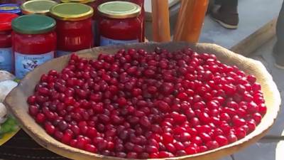  Drvarska drenja u Banjaluci 