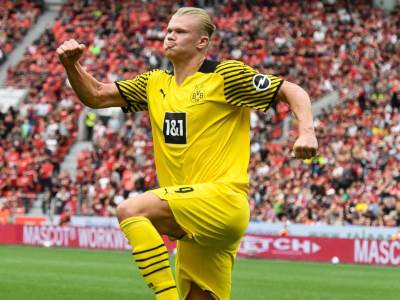  bajern minhen odustao od erlinga brauta holanda 