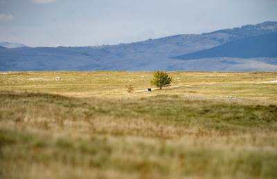  Peticija protiv vojnog poligona u Glamoču 