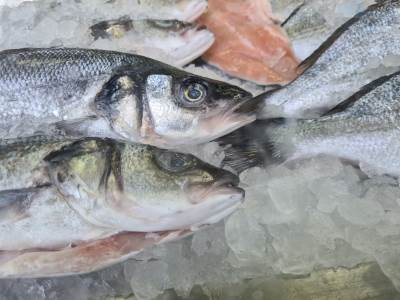  Federalna inspekcija zatvorila fabriku za preradu ribe u Stocu 