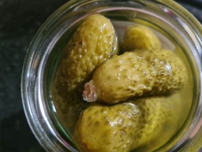  Koji krastavci su najbolji za kiseljenje 