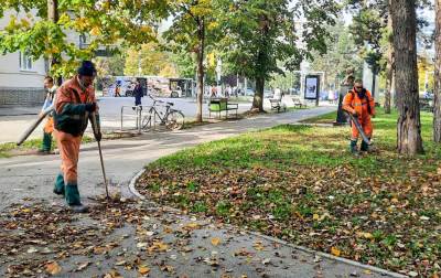  čišćenje lišća u Banjaluci 