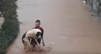  Sarajlija u gaćama i majici uletio u vodu i spasio psa (VIDEO) 