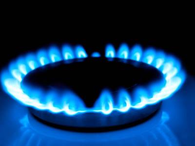  Šolc želi da subvencioniše cijene gasa 