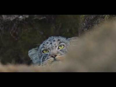  Hit dana: Nick Cave & Warren Ellis - We Are Not Alone 