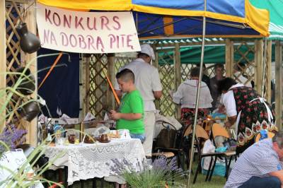 Festival balkanske kulture, stranica reemigrancizbosni.pl.jpg Festival balkanske kulture, stranica reemigrancizbosni.pl.jpg