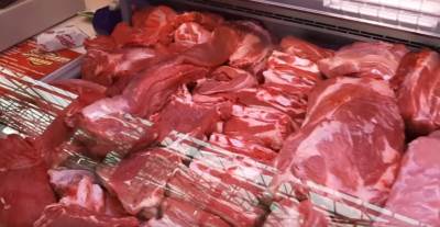  Nedostatak gvožđa u organizmu 