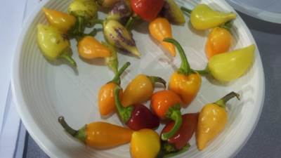  Mala zbog koje i momci plaču 