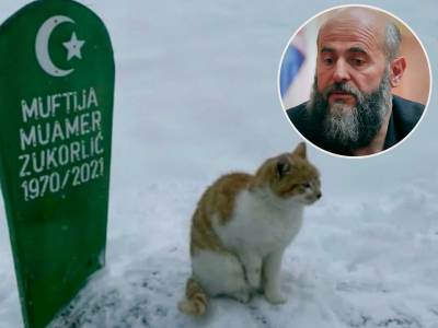  Zukurlićev mačak i poslije dva mjeseca leži na njegovom grobu (FOTO) 