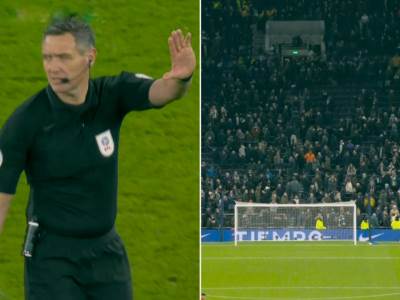  Pozlilo navijaču na utakmici Totenhem Čelsi 