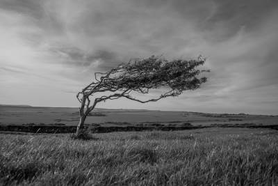  Narandžasti meteoalarm zbog olujnog vjetra u BiH 