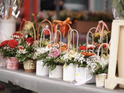  Ovo je mjesto na koje nikad ne biste trebali staviti saksiju 