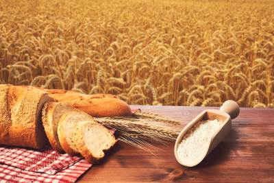 Vlada Srpske obezbijedila 500 tona pšenice za javne kuhinje 