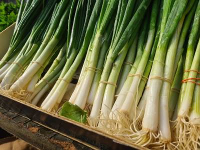  Recept za slane mafine sa mladim lukom i sirom 