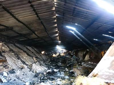 Petrovo: Izgorjela farma pilića, velika materijalna šteta 