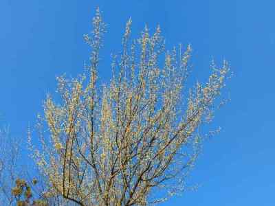  Prognoza vremena za 26. mart 