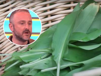  Srijemuš prednosti za zdravlje recept 